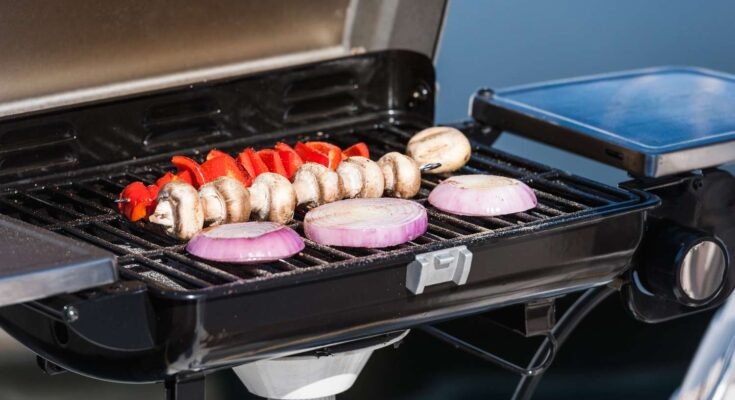 barbecues and grills market