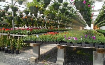 Greenhouse, Nursery, And Flowers Market Report