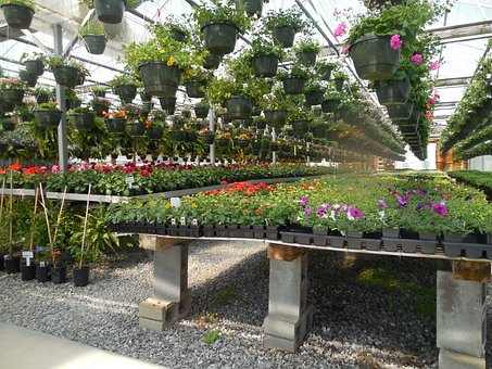 Greenhouse, Nursery, And Flowers Market Report