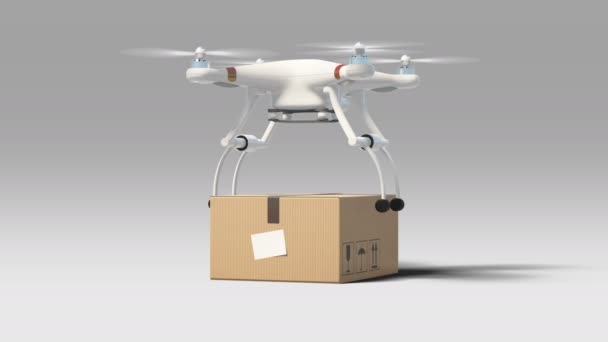 drone package delivery market