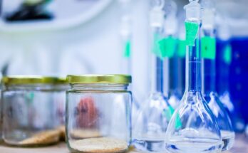 Specialty Chemicals Global Market