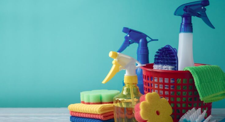 household cleaning products market
