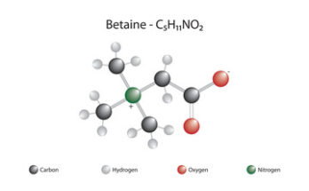 Betaine Global Market