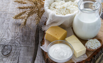 Dairy Products Market Size