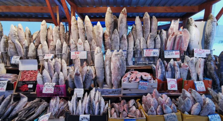 Frozen Seafood Market