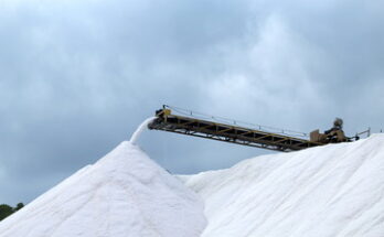 Industrial Salts Market Size