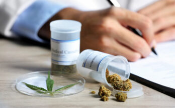 Global Medical Marijuana Market Outlook Through 2023-2032