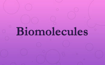 Non-Therapeutic Biomolecules Market Size