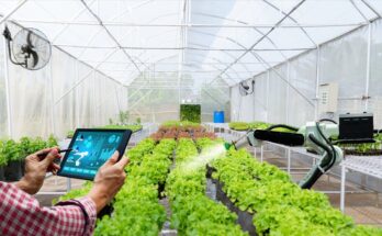 Smart Agriculture