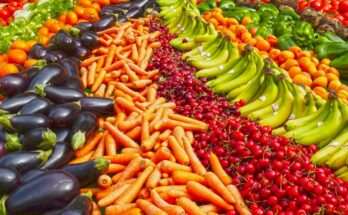 Fruit And Vegetable Processing Global Market