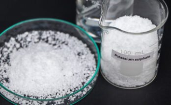 Potassium Sulphate Market Trends