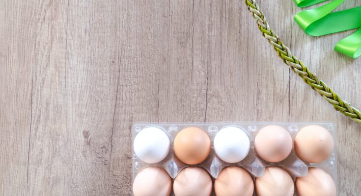 Processed Eggs Market