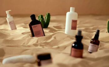 Skin Care Products Global Market