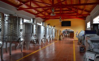 wine production machinery market