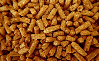 Animal Feed Protein Market