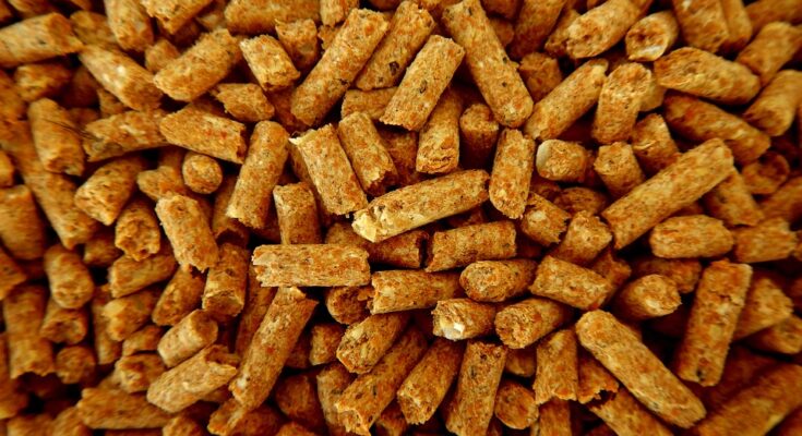 Animal Feed Protein Market