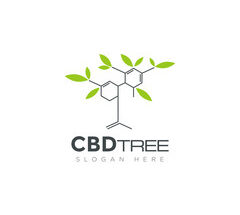 CBD Nutraceuticals Market Share