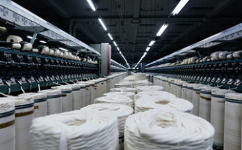 Cotton Processing Market Analysis