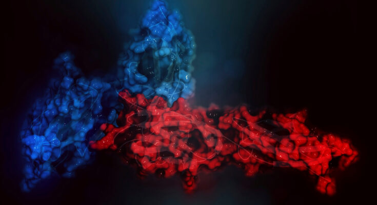 checkpoint inhibitors market