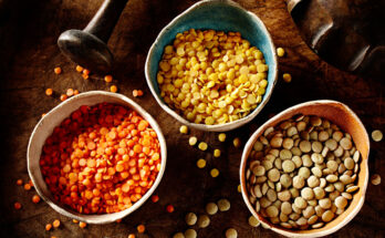 oilseed and grain seed market