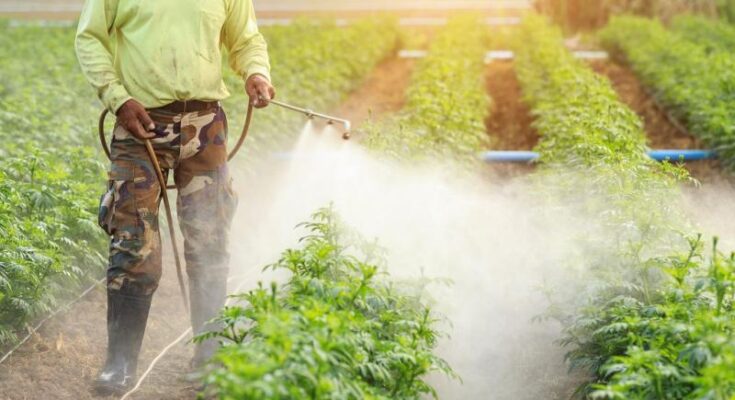 pesticide inert ingredients market