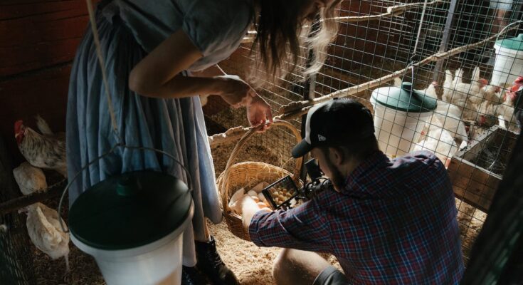 Livestock Grow Lights Market