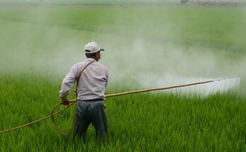 herbicides market