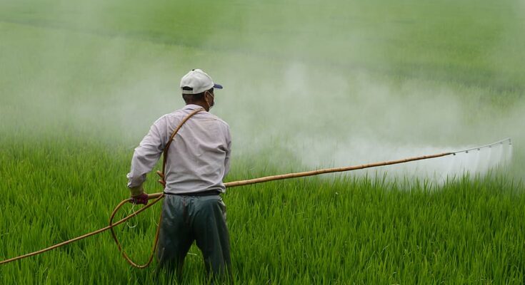 herbicides market