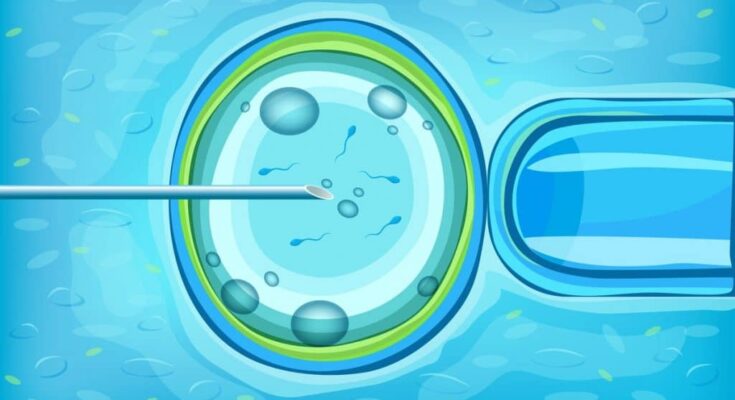 ivf services market