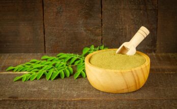 moringa ingredients market