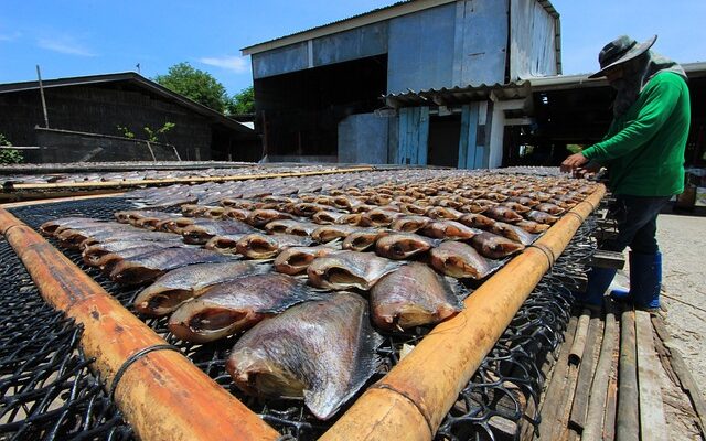 Fish Processing Market