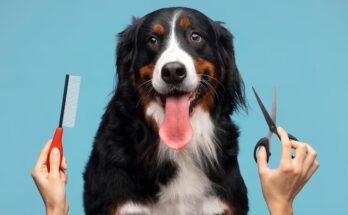 Pet Grooming Services Market