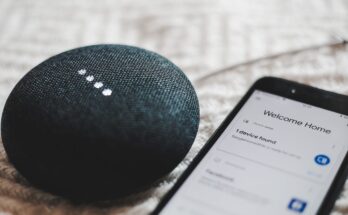 Voice Assistant Application