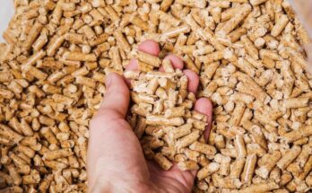 Wood Pellets Market