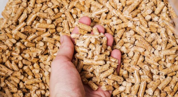 Wood Pellets Market