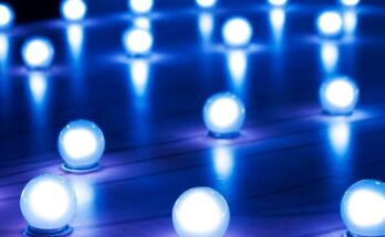LED (Light-Emitting Diode) Neon Lights Market