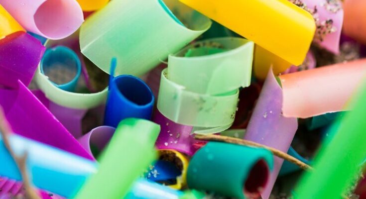 Plastics And Rubber Products Market