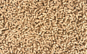 Animal Feed Protein Global Market