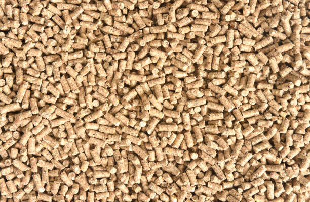 Animal Feed Protein Global Market