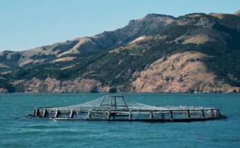 Aquaculture Market