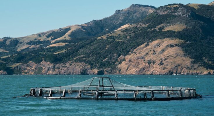 Aquaculture Market