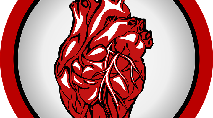 Cardiac Valve Market