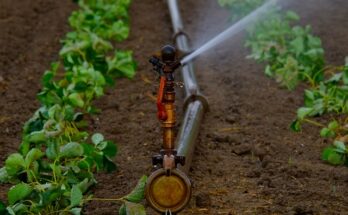 Sprinkler Irrigation Market