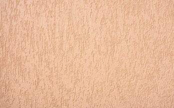 Stucco Market Report