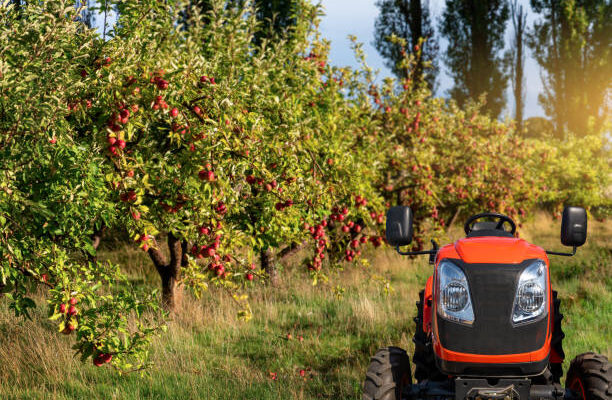 Garden And Orchard Type Tractors Machinery Global Market