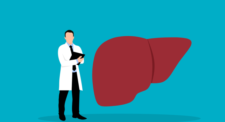 Fatty Liver Treatment Market