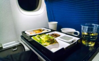 In-Flight Catering Services Market