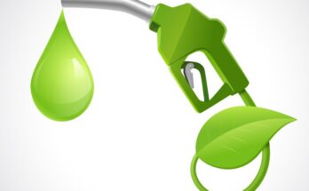 Biodiesel Market