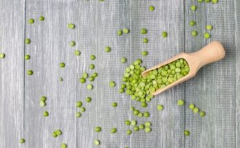 Pea Protein Ingredients Market