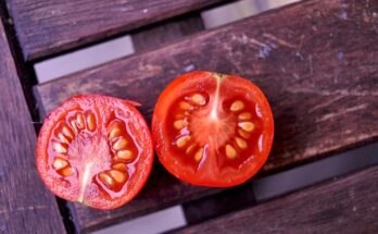 Tomato Seeds Market